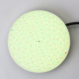 Toolavo Swimming Pool Light – 12V Waterproof IP68 LED Pool Lamp for Fountain, Spa & Outdoor Lighting